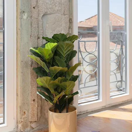 Liiiving In Gaia - The Wine Side Vila Nova de Gaia