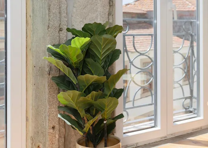 Liiiving In Gaia - The Wine Side Vila Nova de Gaia