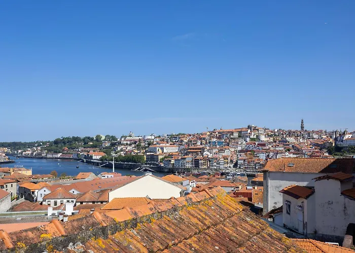 Liiiving In Gaia - The Wine Side